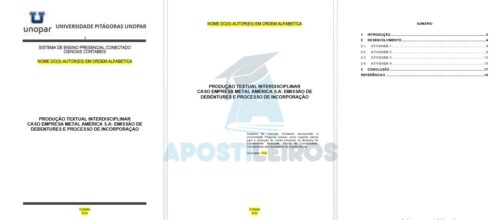 Portfólio Caso empresa Metal América S.A.: Emissão de Debêntures e processo de incorporação