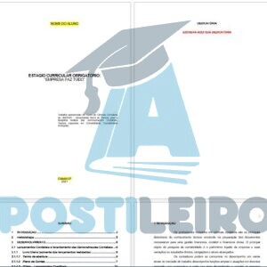 ESTÁGIO CURRICULAR OBRIGATÓRIO: “EMPRESA FAZ TUDO”