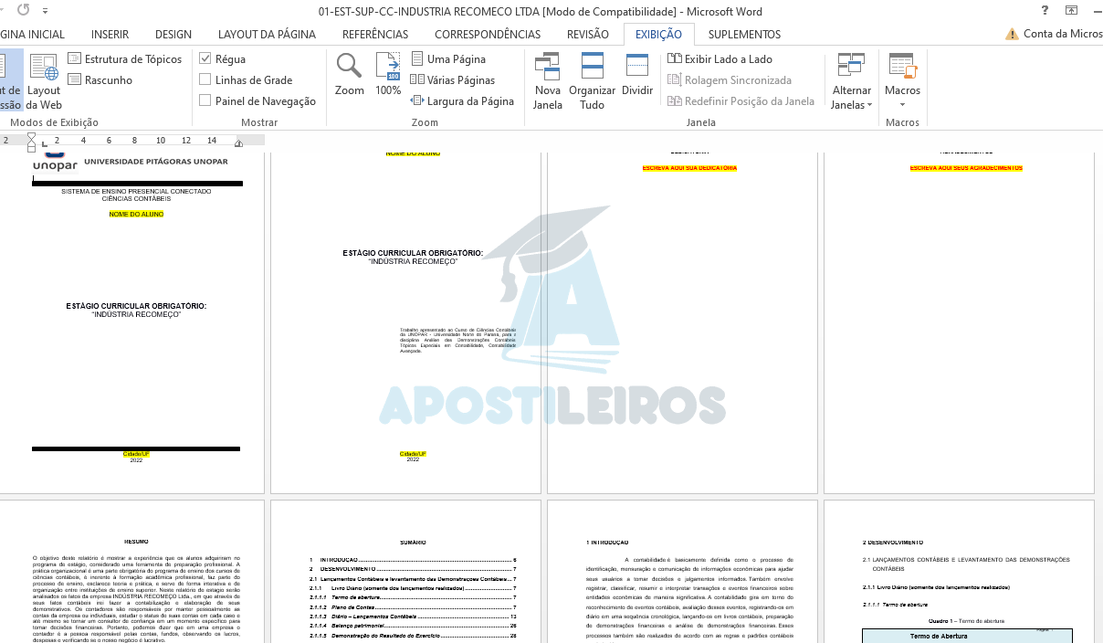 portfolio ciencias contabeis 2 semestre unopar