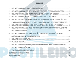 Plano De Trabalho De Estágio Cursos De Licenciatura 2023.1: Estágio II ...