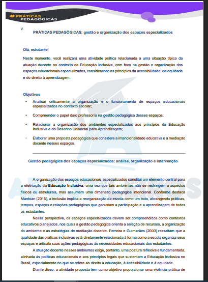 IDADE PRÁTICA PRÁTICAS PEDAGÓGICAS: gestão e organização dos espaços especializados